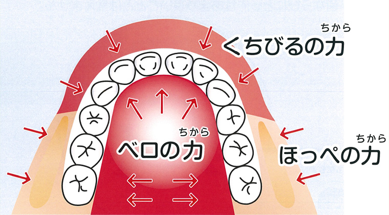 口腔内のイラスト